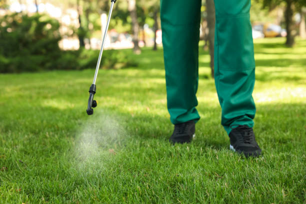 Best Pest Control Near Me in Forsgate, NJ