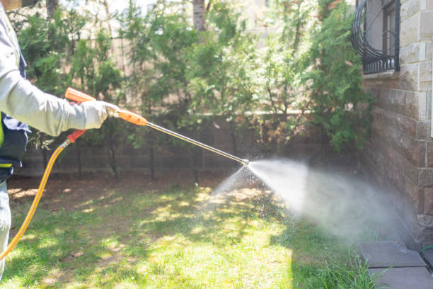 Professional Pest Control in Forsgate, NJ