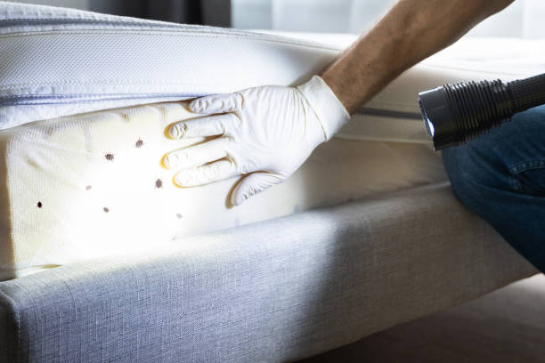 Best Pest Control Cost  in Forsgate, NJ