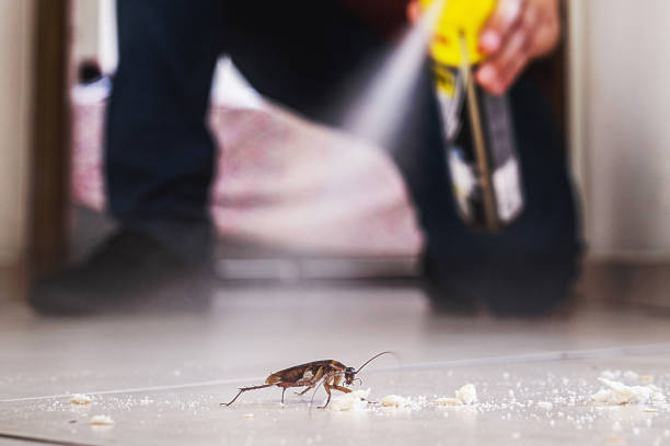 Best Pest Inspection Near Me  in Forsgate, NJ