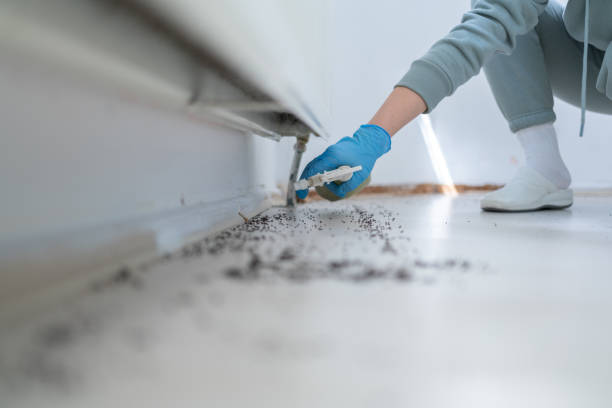 Best Wildlife Control Services  in Forsgate, NJ