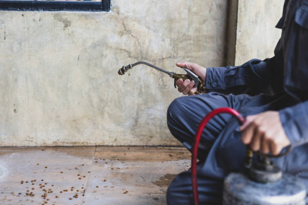 Best Mosquito Control Services  in Forsgate, NJ